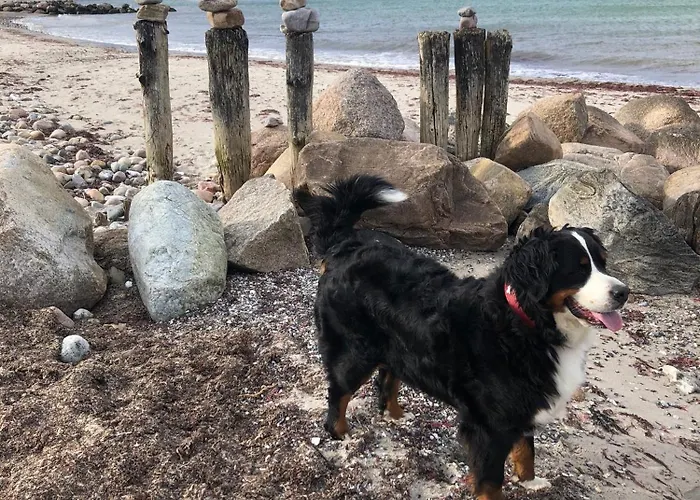 Appartement „oberdeck” Hohwacht/ostsee Hohwacht